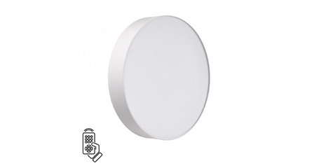 Настенно-потолочный светильник Sonex Basica Optima 7779/DL