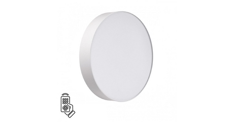 Настенно-потолочный светильник Sonex Basica Optima 7779/DL