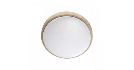 Настенно-потолочный светильник Sonex Losta 7607/DL