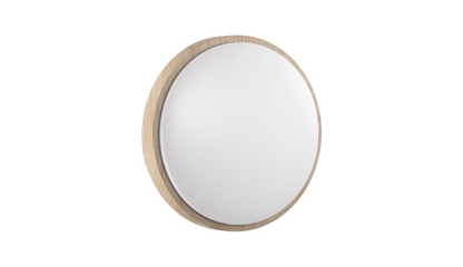 Настенно-потолочный светильник Sonex Pale Losta 7607/CLN