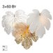Настенный светильник Citilux Dryad CL305330