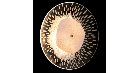 Настенный светильник Crystal Lux CONTESSA AP2.1