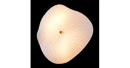 Настенный светильник Crystal Lux CONTESSA AP2.2