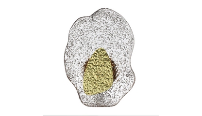 Настенный светильник Odeon Light L-Vision Coralla 5460/12WLA