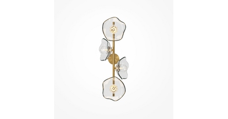 Настенный светильник Maytoni Miracle MOD207WL-04BS