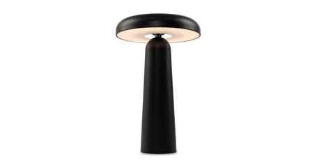 Настольная аккумуляторная лампа Freya Mushroom FR6109TL-L4B