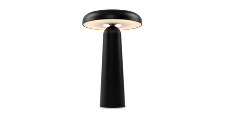 Настольная аккумуляторная лампа Freya Mushroom FR6109TL-L4B