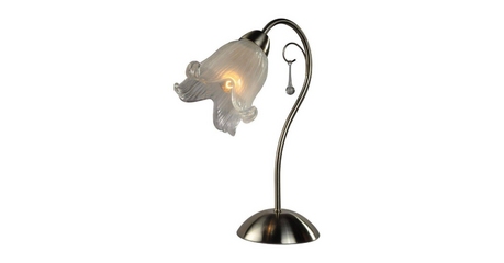 Настольная лампа Arte Lamp 78 A7957LT-1SS