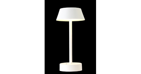 Настольная лампа Crystal Lux Santa SANTA LG1 WHITE