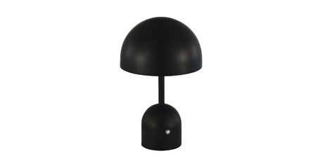 Настольная лампа Evoluce Eclat SLE1806-404-01