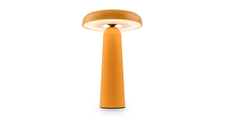 Настольная лампа Freya Mushroom FR6109TL-L4OR
