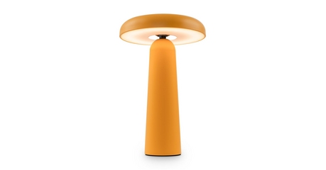 Настольная лампа Freya Mushroom FR6109TL-L4OR