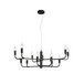 Подвесная люстра Aployt Evlalia APL.338.13.12