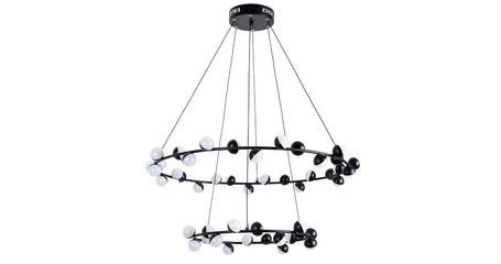 Подвесная люстра ARTE Lamp A3619SP-48BK