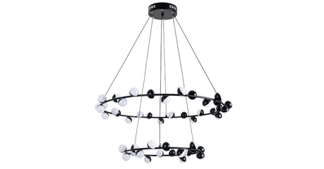 Подвесная люстра ARTE Lamp A3619SP-48BK