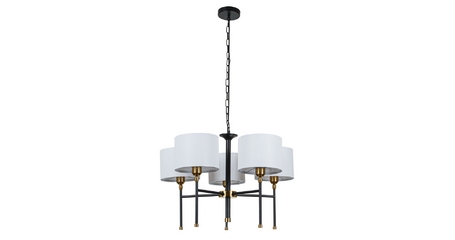 Подвесная люстра Arte Lamp Jamie A4090LM-5BK