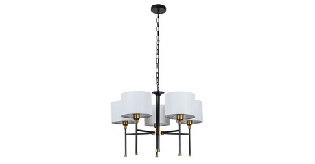 Подвесная люстра Arte Lamp Jamie A4090LM-5BK