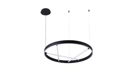 Подвесная люстра Arte Lamp Ricco A1874SP-45BK