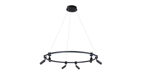 Подвесная люстра Arte Lamp Ring A2186SP-1BK