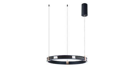 Подвесная люстра Arte Lamp Shine A2222SP-1BK