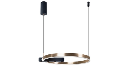 Подвесная люстра Arte Lamp Veritate A2221SP-1BR