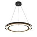 Подвесная люстра Escada Lagom 10248/2LED