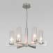 Подвесная люстра Eurosvet Arganie 60133/6 серебро