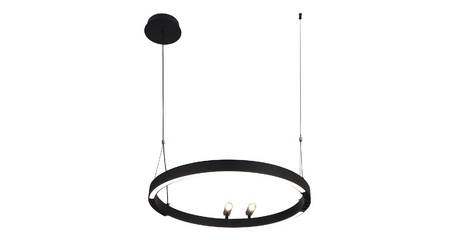 Подвесная люстра F-Promo Slinga 4474-1P