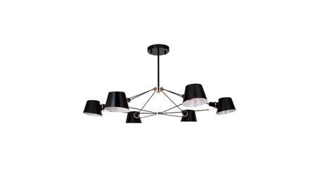 Подвесная люстра Favourite Eimer 1512-6P