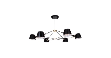 Подвесная люстра Favourite Eimer 1512-6P