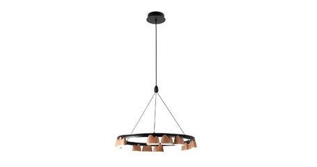 Подвесная люстра Favourite Interline 4266-12P