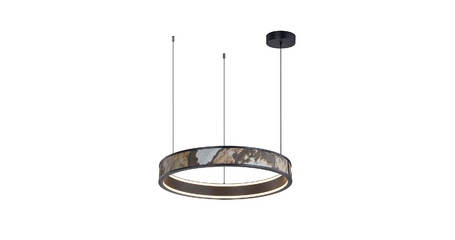 Подвесная люстра Favourite Lago 4598-1P