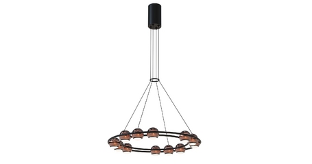 Подвесная люстра Favourite Sturm 4561-12P