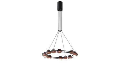 Подвесная люстра Favourite Sturm 4561-12P