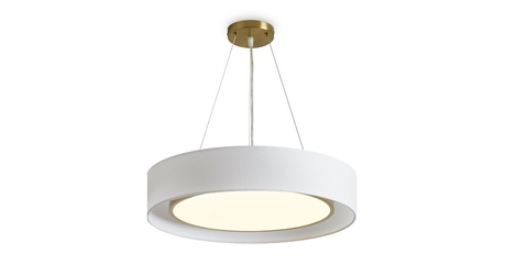 Подвесная люстра Freya Cozy FR6170PL-L52BS