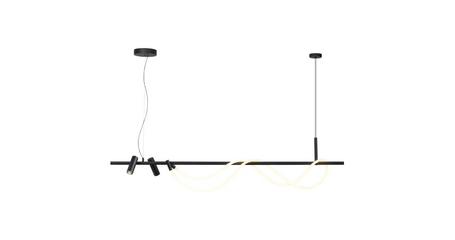 Подвесная люстра Odeon Light Corda 4391/40L