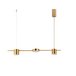 Подвесной светильник Aployt Frania APL.017.13.18
