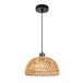 Подвесной светильник Arte Lamp Brushwood A7086SP-1BK