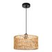 Подвесной светильник Arte Lamp Brushwood A7088SP-1BK