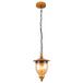 Подвесной светильник Arte Lamp Catena A6711SP-1BR