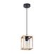 Подвесной светильник Arte Lamp Dublin A7025SP-1BK