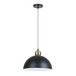 Подвесной светильник Arte Lamp Recinto A7053SP-1BK