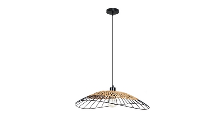 Подвесной светильник Arte Lamp Woodstock A7061SP-1BK