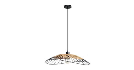 Подвесной светильник Arte Lamp Woodstock A7061SP-1BK