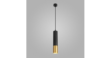 Подвесной светильник Eurosvet Tony DLN108 GU10 черный/золото