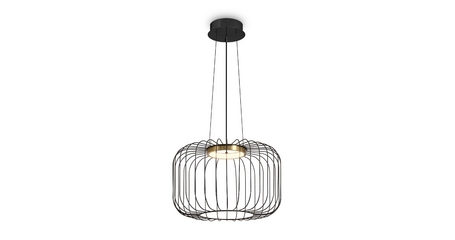 Подвесной светильник Freya Citrus FR5398PL-L8B