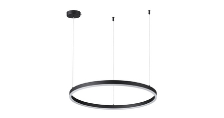 Подвесной светильник Lumion Echo 6530/50L