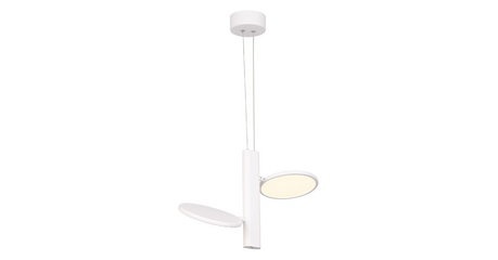 Подвесной светильник Lussole Aberdeen LSP-7085