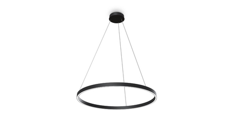 Подвесной светильник Maytoni Rim MOD058PL-L42BK