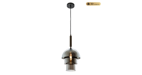 Подвесной светильник Modestyle MS.220.250 BK